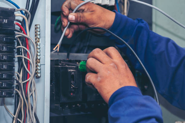 Best Licensed Electrician  in Johnsburg, IL